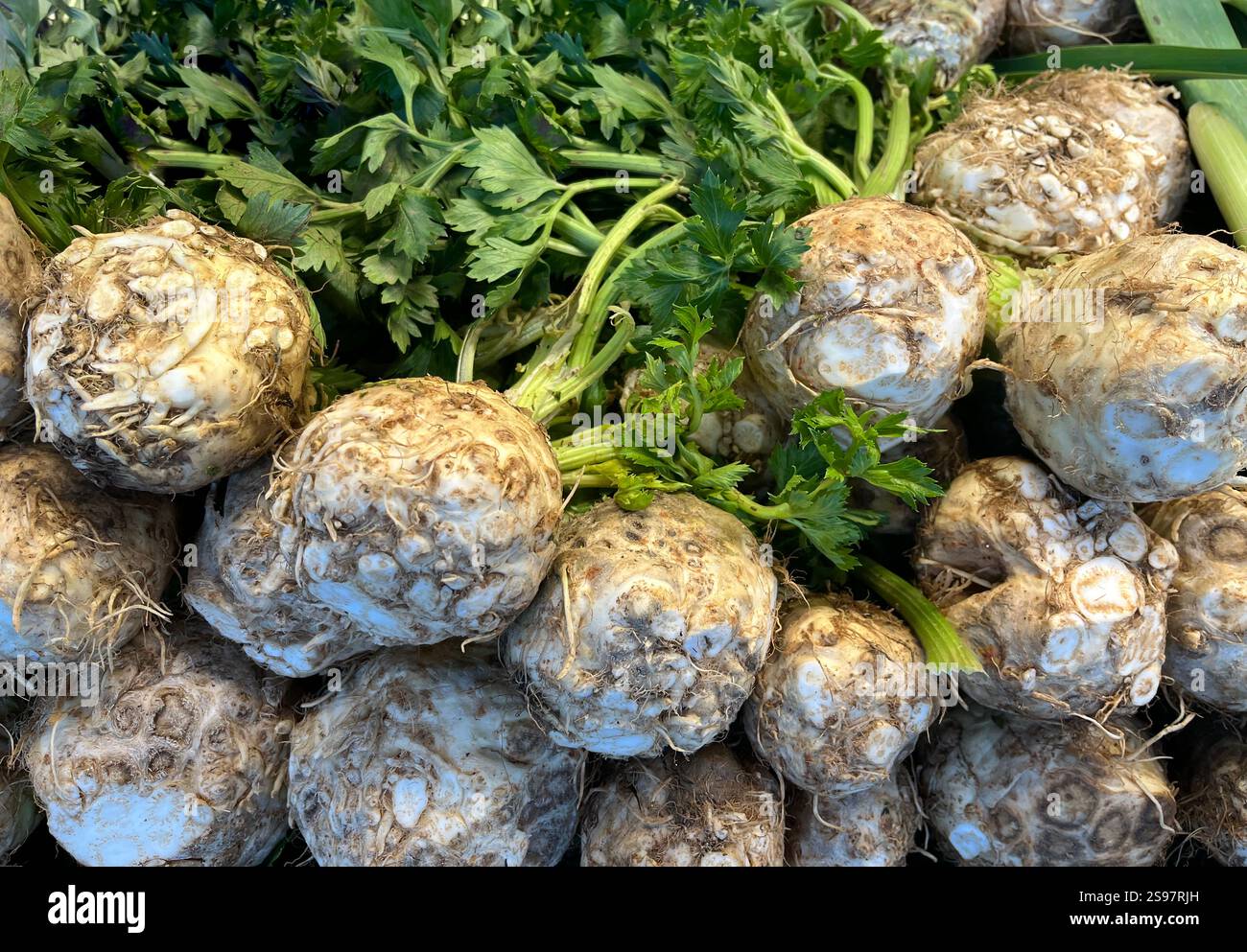 Carciofi crudi al banco di un supermercato. Foto Stock