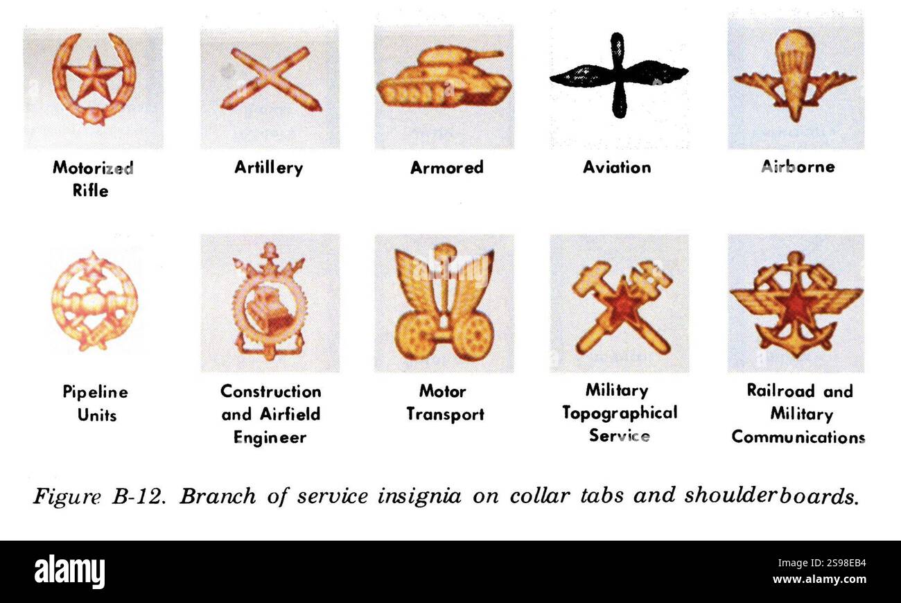 Manuale sulle forze di terra sovietiche (US Dep of Army 1975) UNIFORMI DELL'ESERCITO RUSSO FM30-40 0271 Figura B-12 insegne della filiale di servizio INSIGNIA su linguette del collare e spalline motore. Fucile artiglieria aviazione corazzata aviotrasportata, ecc. lo fanno pubblico. Foto Stock
