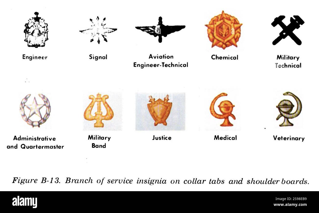 Manuale sulle forze di terra sovietiche (US Dep of Army 1975) UNIFORMI DELL'ESERCITO RUSSO FM30-40 0272 Figura B-13 INSIGNIA insegne della filiale di servizio sulle linguette del collare e sulle spalline - segnale ingegnere chimico giustizia medica ecc c.. Foto Stock