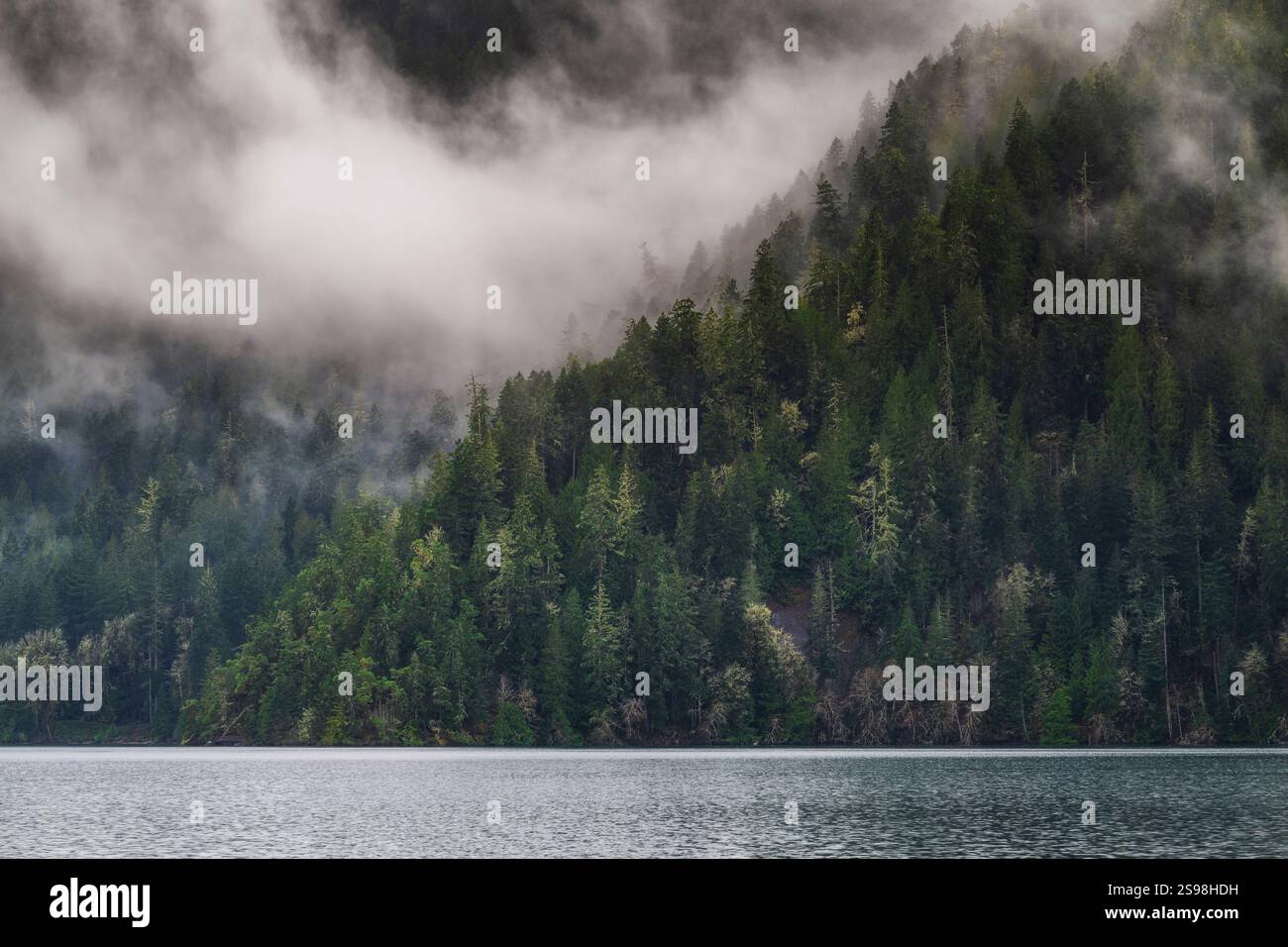 Lake Crescent, Olympic National Park, Olympic Peninsula, Washington, Stati Uniti Foto Stock