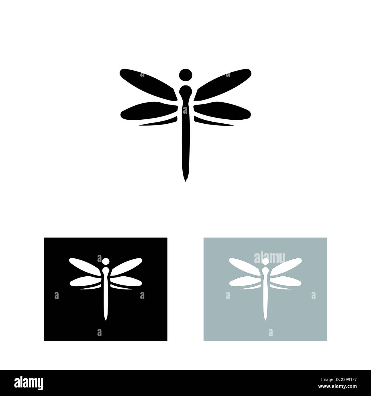 VETTORE DRAGONFLY Illustrazione Vettoriale