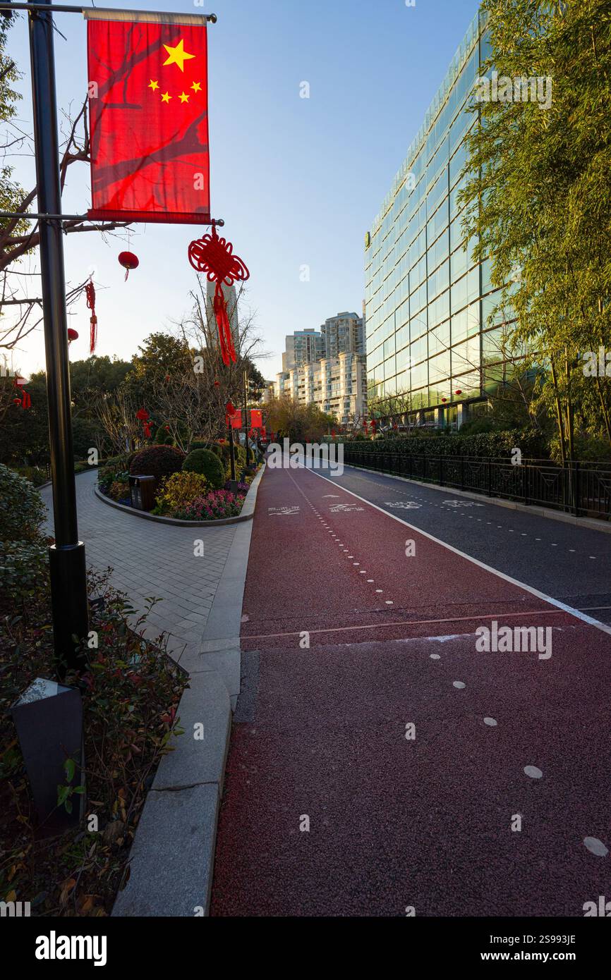 Shanghai, Cina. 10 gennaio 2025. La bandiera cinese lungo una corsia nel centro della città Foto Stock