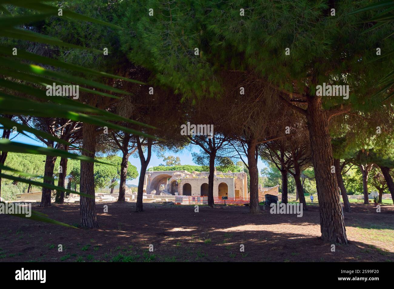 Resti di antiche terme romane a Civitavecchia, in Italia, parzialmente oscurati dagli alberi. Ottimo per contenuti storici e fotografie naturalistiche. Foto Stock Resti di antiche terme romane a Civitavecchia, in Italia, parzialmente oscurati dagli alberi. Ottimo per contenuti storici e fotografie naturalistiche. Foto Stock