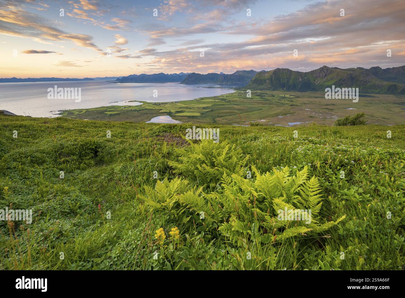 Vista della costa e delle montagne dal Monte Hoven, Gimsoy, Lofoten, Norvegia, Europa Foto Stock
