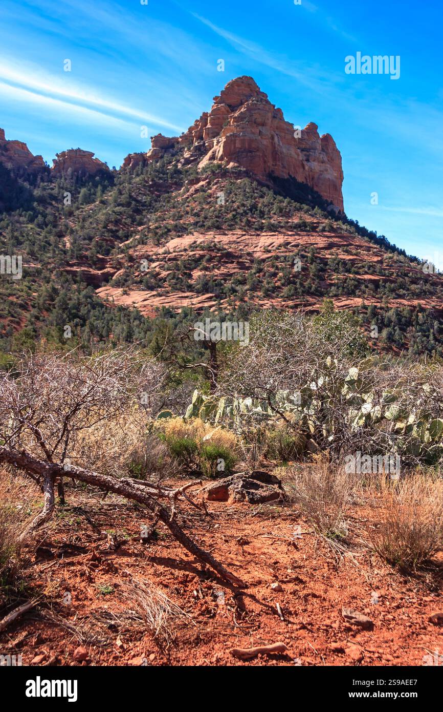 Una montagna con un picco roccioso e un ceppo d'albero in primo piano. La montagna è coperta di alberi e il cielo è limpido Foto Stock