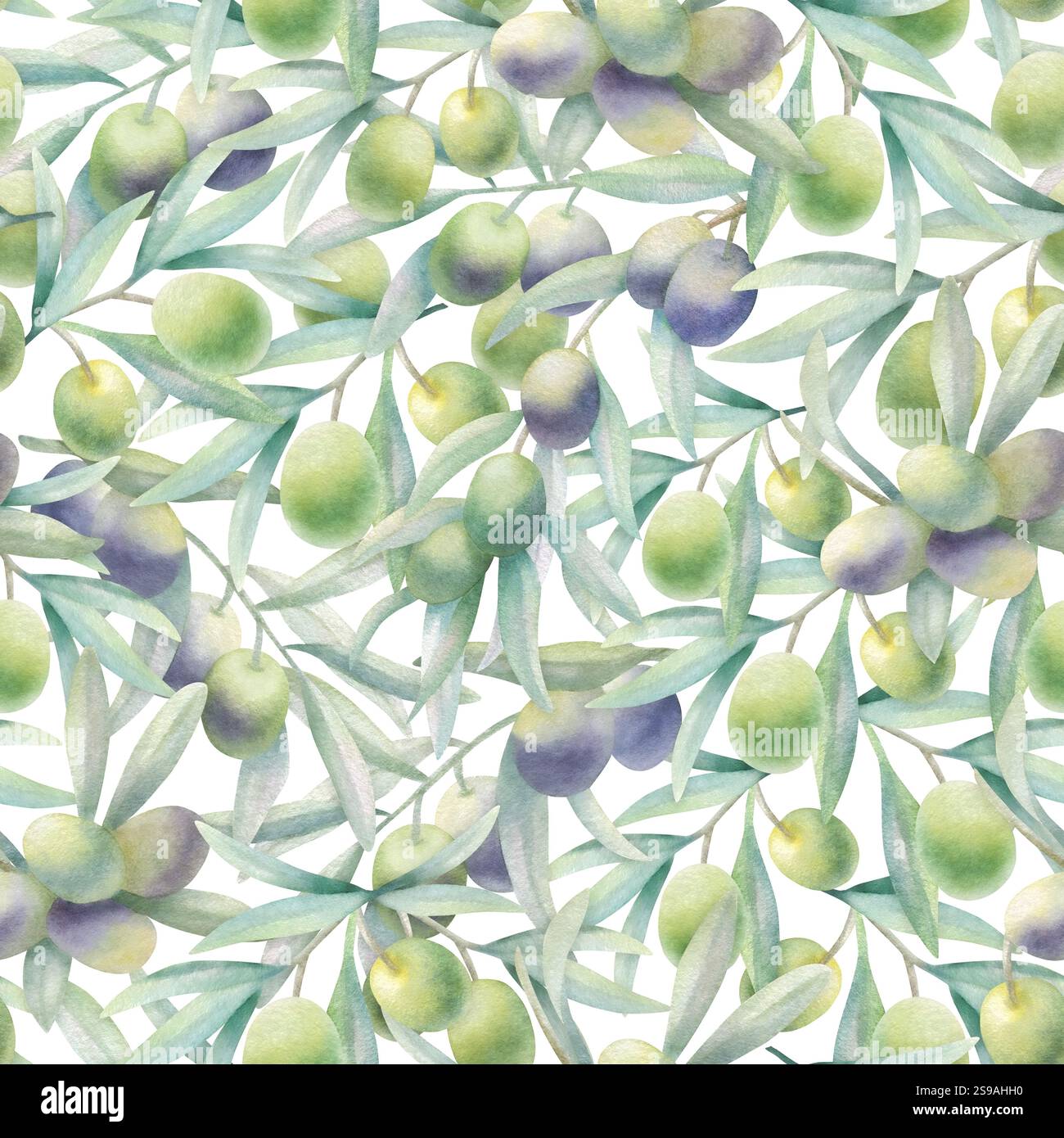 Rami di ulivo con foglie e frutta in uno stile realistico, motivo senza cuciture. Acquerello botanico disegnato a mano illustrazione isolata con olive verdi e nere per imballaggi, tessuti, tessuti. Foto Stock