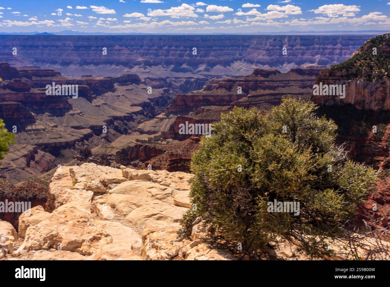 Il Grand Canyon National Park è uno dei parchi nazionali più antichi degli Stati Uniti e si trova in Arizona. All'interno del parco si trova il Grand Canyon, un gorg Foto Stock