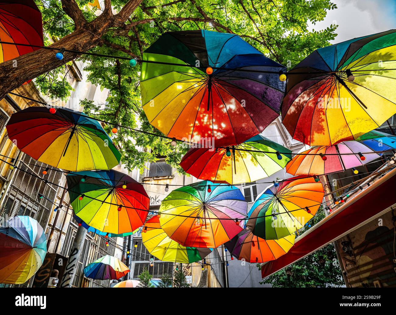 Gli ombrelli dai colori vivaci sono sospesi sopra la testa, creando un'atmosfera vivace e giocosa in un affascinante ambiente esterno. La luce solare viene filtrata Foto Stock