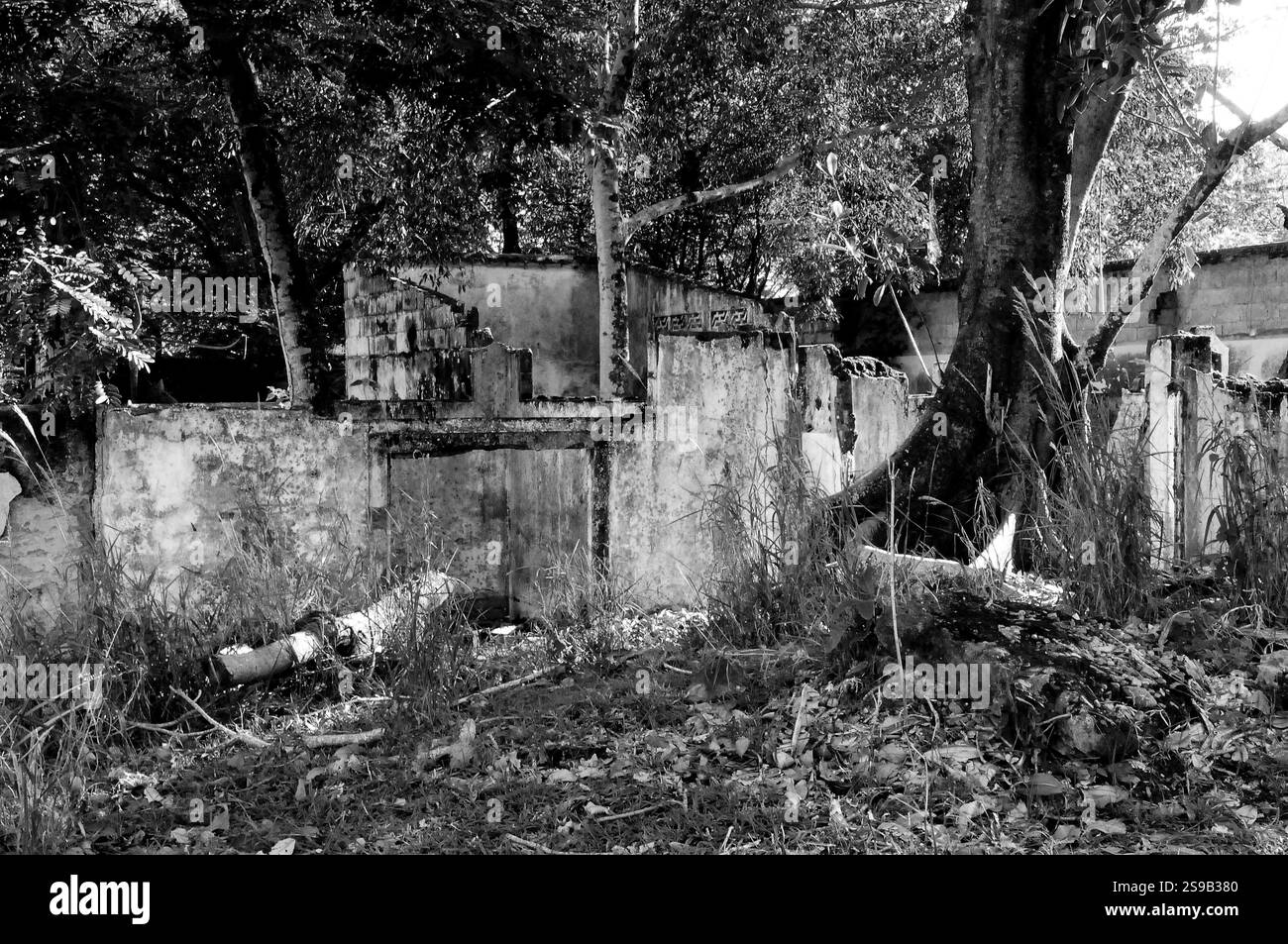 Armero, Tolima rovine di eruzione vulcanica Foto Stock