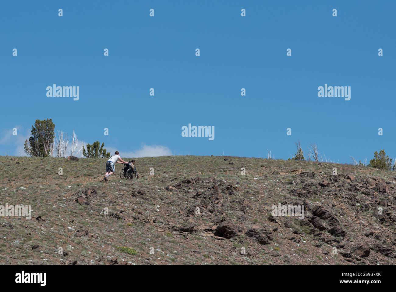 Persona che spinge una persona su una sedia a rotelle su un sentiero sul Monte Howard, Wallowa Mountains, Oregon. Foto Stock