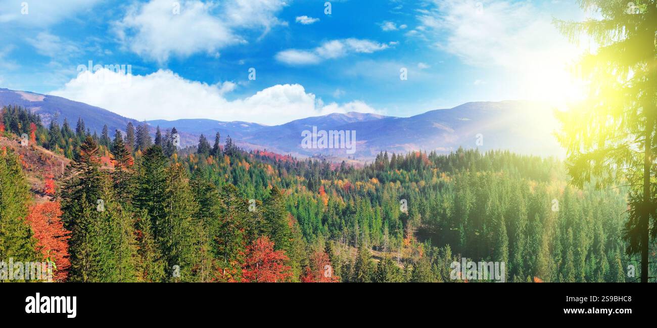 Splendido paesaggio montano con colorate foreste autunnali e vibrante tramonto. Il concetto è viaggiare. Foto grandangolare. Foto Stock