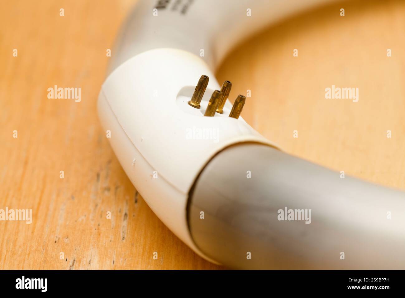 Tubo fluorescente circolare bruciato e annerito in corrispondenza dei catodi, rebbi del cuscinetto di contatto ossidati Foto Stock