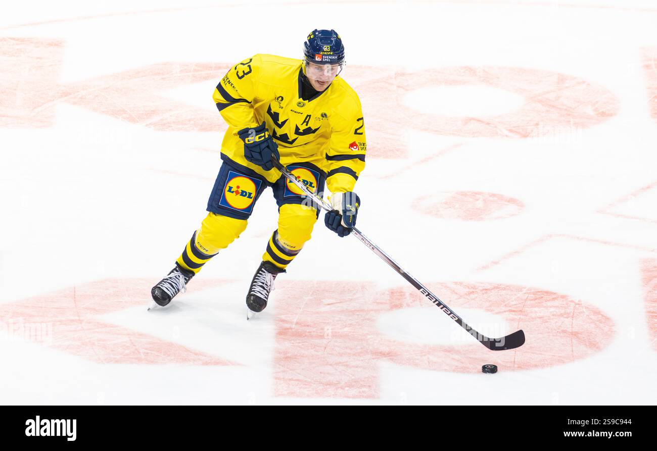 Friburgo, Svizzera, 14 dicembre 2024: #23 Lucas Wallmark, attaccante nazionale svedese con il puck. (Foto di Andreas Haas/dieBildmanufaktur) Foto Stock