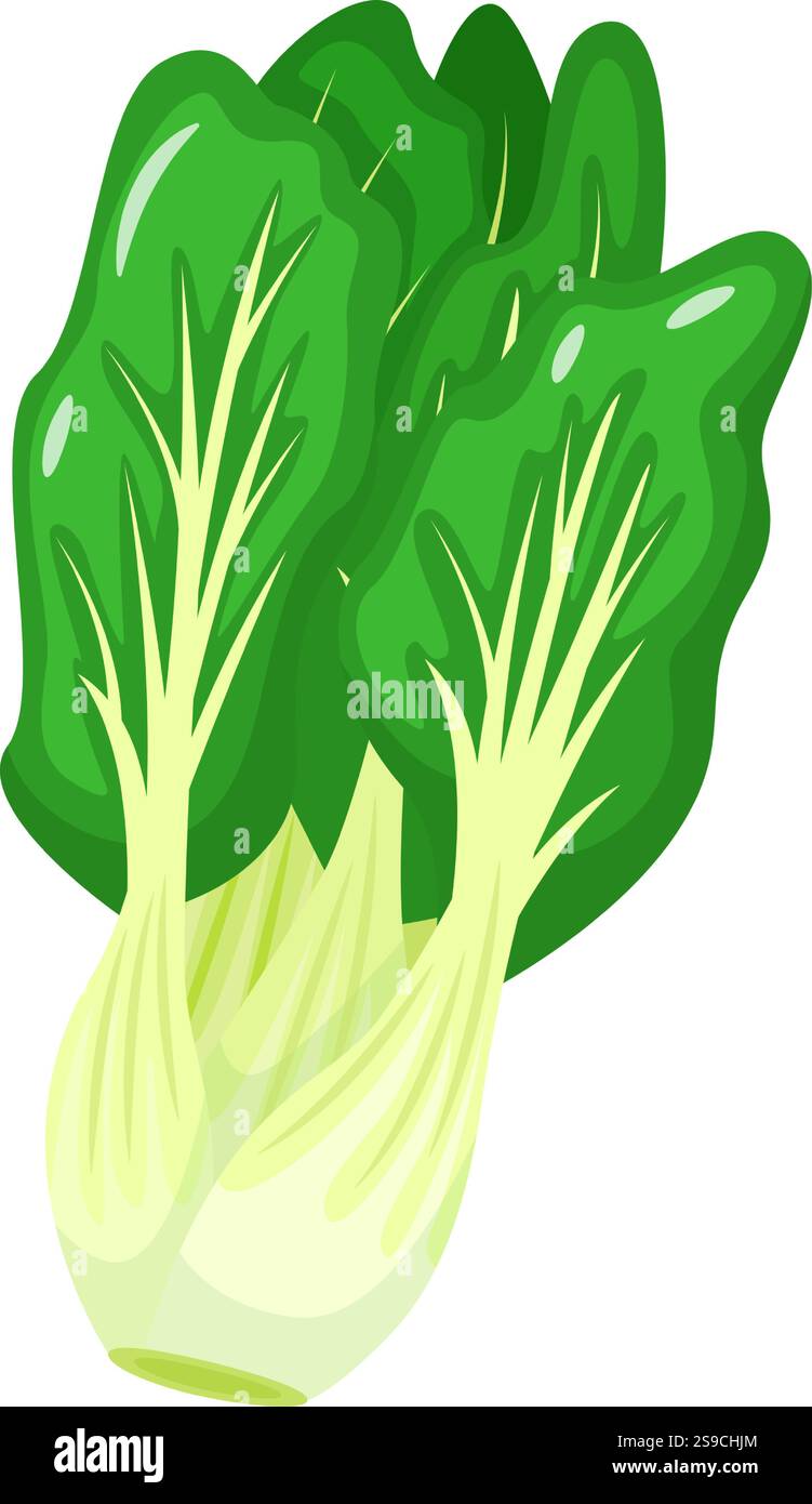 Illustrazione dettagliata di un bok choy verde fresco con foglie lussureggianti e gambi croccanti. Perfetto per descrivere il mangiare sano, la cucina asiatica o i concetti di stile di vita vegetariano Illustrazione Vettoriale Illustrazione dettagliata di un bok choy verde fresco con foglie lussureggianti e gambi croccanti. Perfetto per descrivere il mangiare sano, la cucina asiatica o i concetti di stile di vita vegetariano Illustrazione Vettoriale