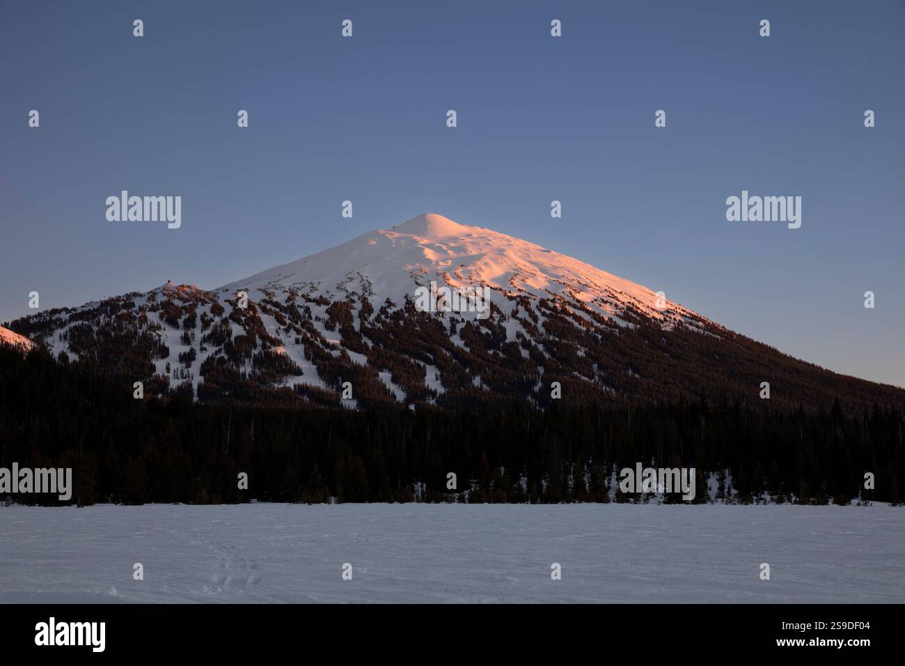 OR02688-00...... OREGON - Mount Batchelor visto dalla Cascade Lakes Highway, Deschutes National Forest. Foto Stock