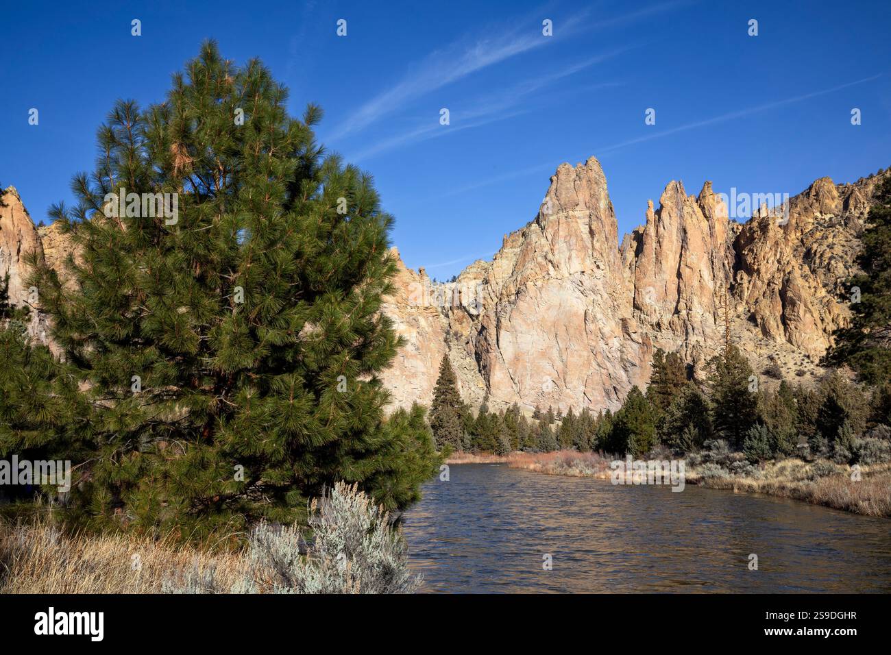 OR03005-00....OREGON - Vista del fiume Crooked e Monument Wall dal Wolf Tree Trail nello Smith Rock State Park. Foto Stock