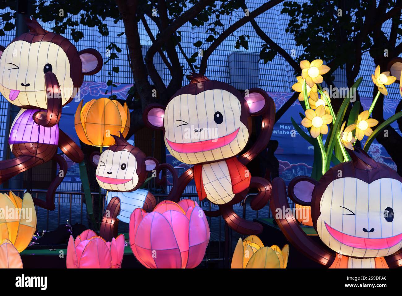 Le lanterne delle scimmie nel parco urbano di Hong Kong Foto Stock