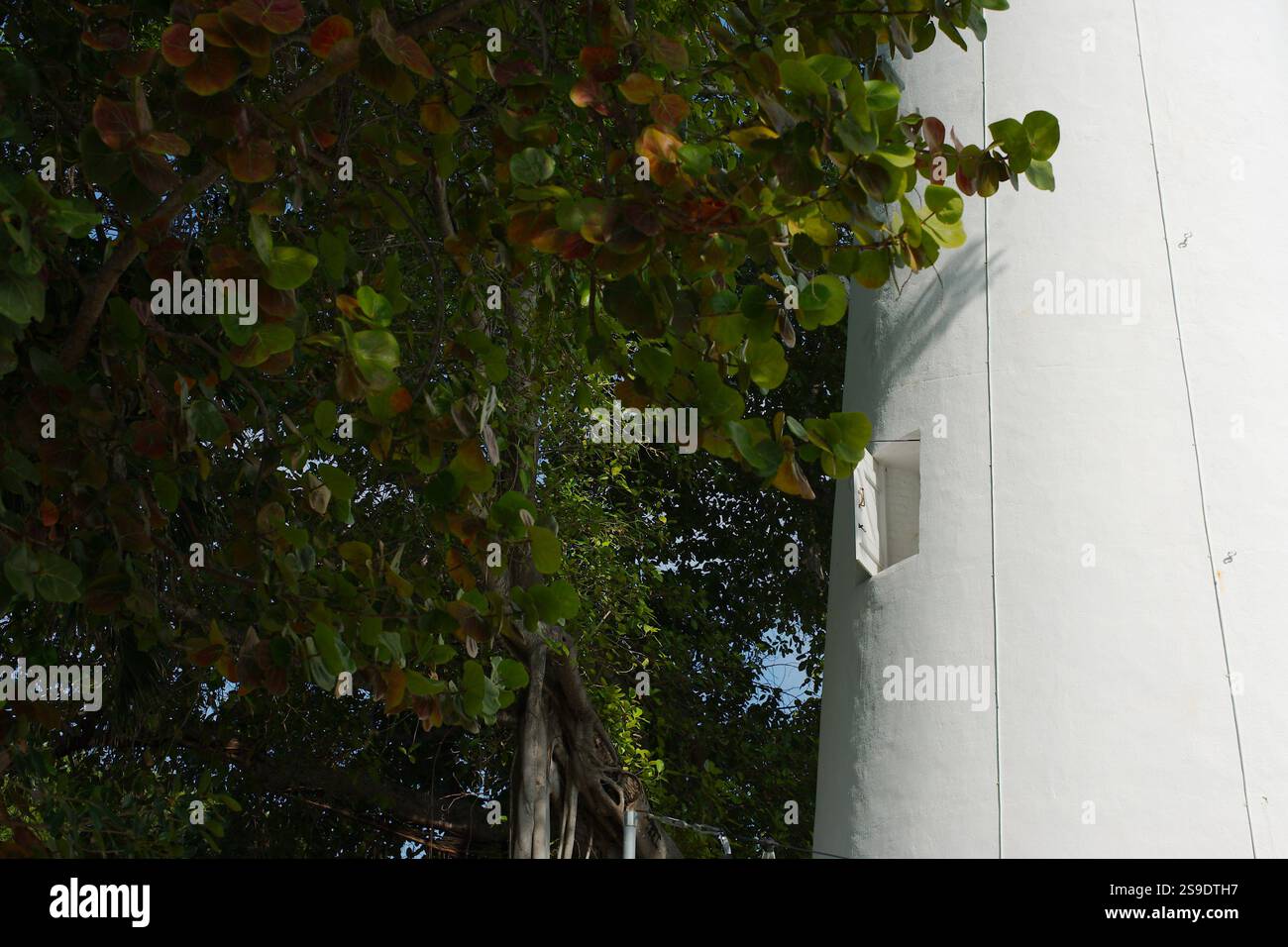 Nelle giornate di sole chiudete il faro bianco con finestre aperte. Incorniciato da alberi. Non c'è spazio per le copie. Foto Stock