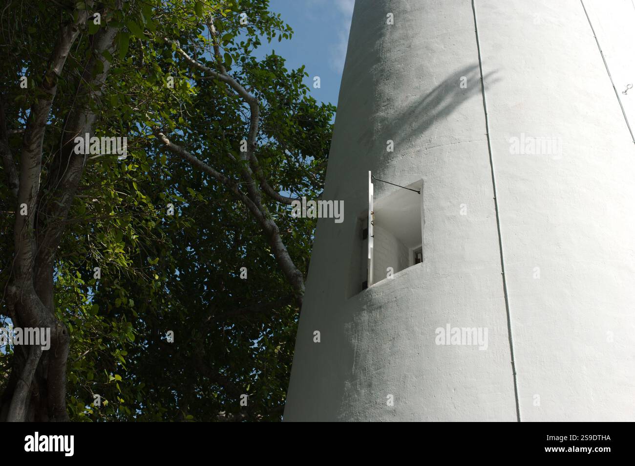 Nelle giornate di sole chiudete il faro bianco con finestre aperte. Incorniciato da alberi. Non c'è spazio per le copie. Foto Stock