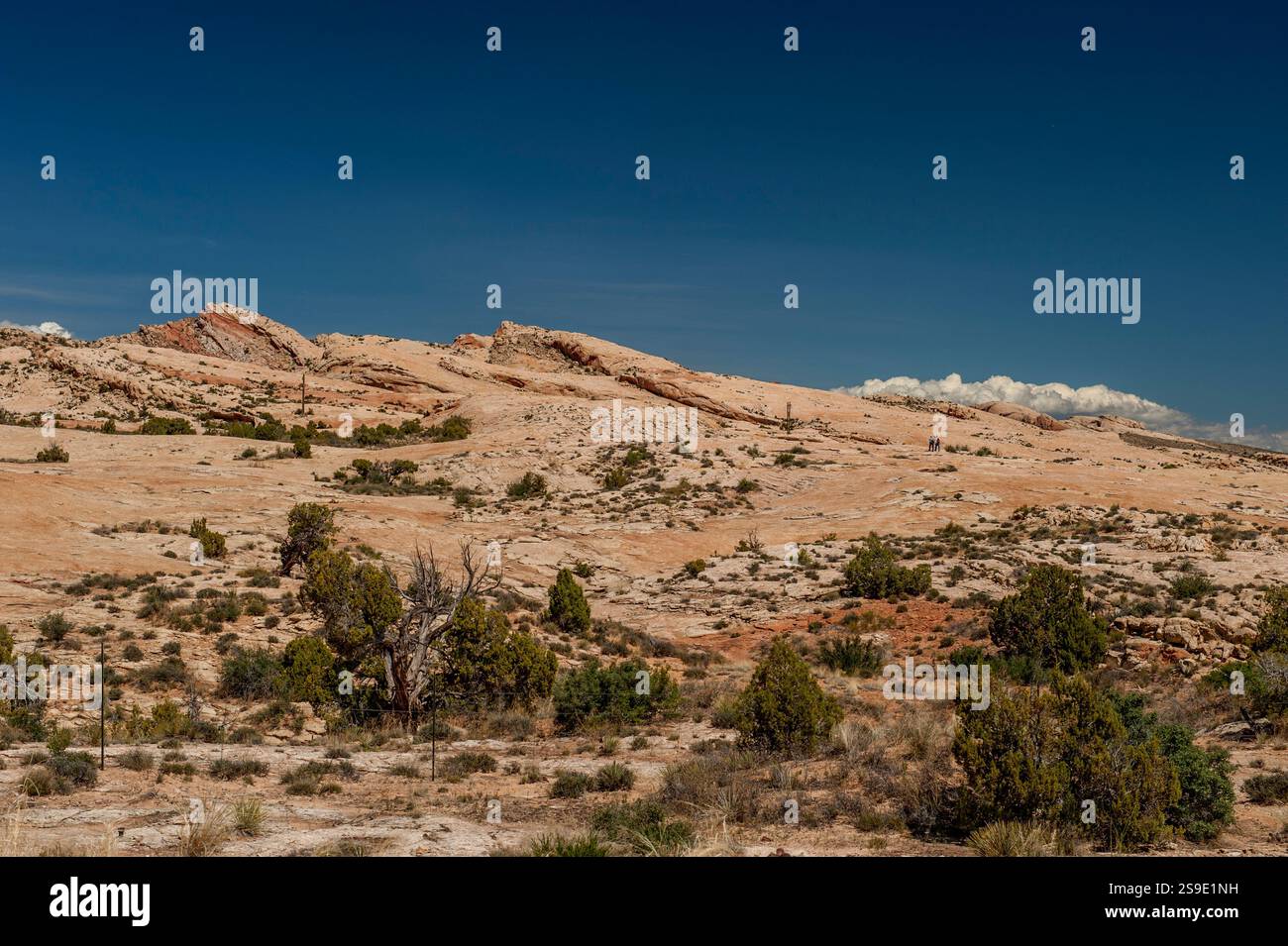 Escursionisti sul Comb Ridge dello Utah sud-orientale Foto Stock