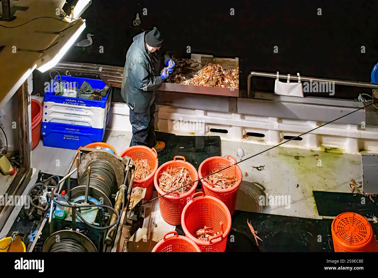 Il porto di Burghead Moray Scotland ormeggiava barche da pesca di notte un pescatore che lavorava alla selezione del pescato di gamberi e gamberi Foto Stock