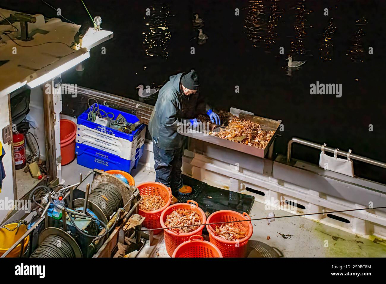 Il porto di Burghead Moray Scotland ormeggiava barche da pesca durante la notte pescatore che lavorava per la selezione del pescato di gamberi e gamberi Foto Stock