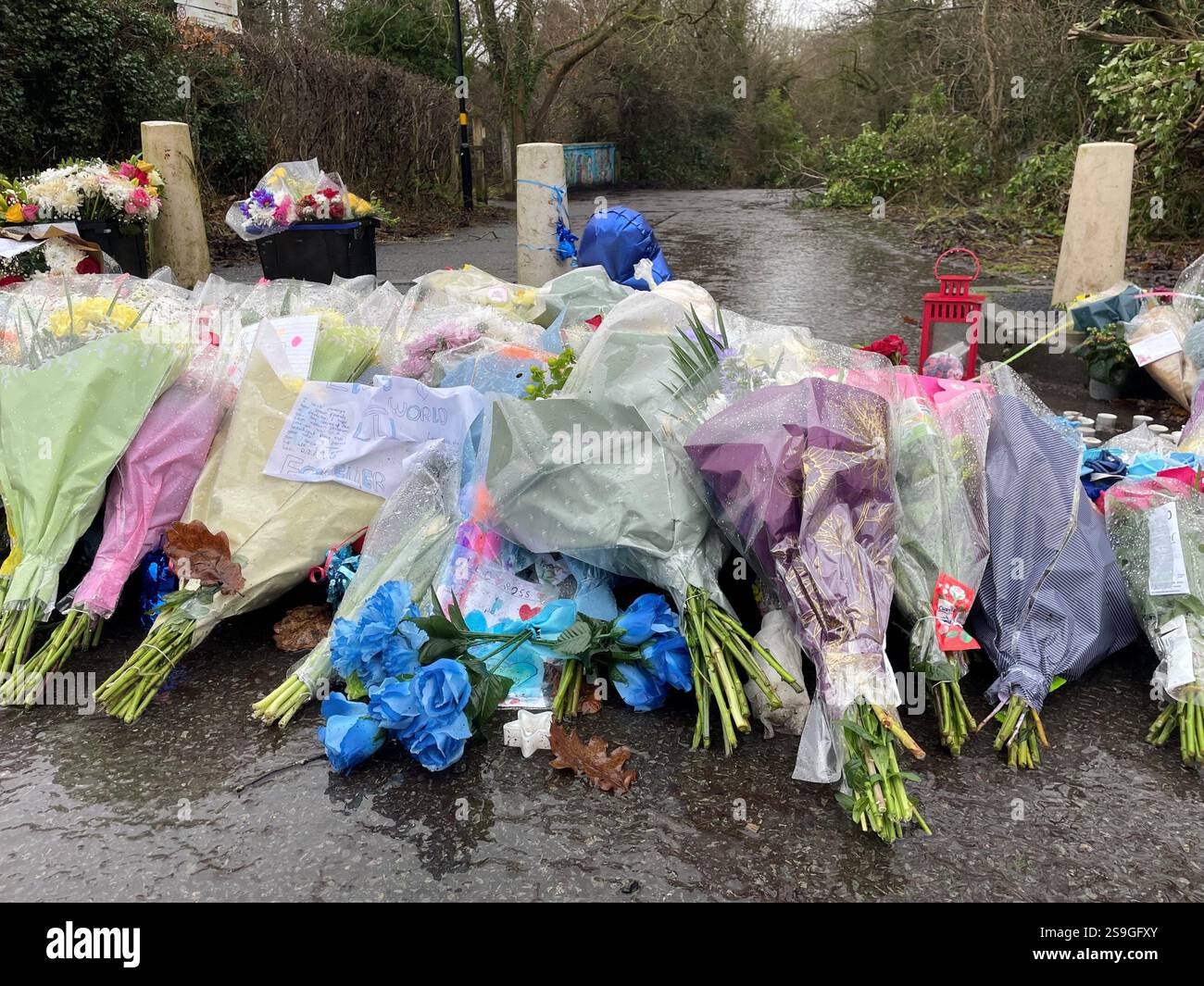 Fiori collocati vicino alla scena a Scribers Lane, Hall Green, Birmingham, vicino alla scena in cui Leo Ross fu pugnalato. Le preghiere di veglia per il dodicenne hanno avuto luogo domenica presso la vicina Christ Church Yardley Wood e un'altra chiesa a Hall Green. Data foto: Domenica 26 gennaio 2025. Foto Stock