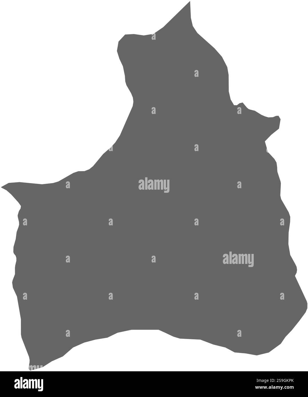 Mappa della regione di Arica e Parinacota, una provincia del Cile. Illustrazione Vettoriale