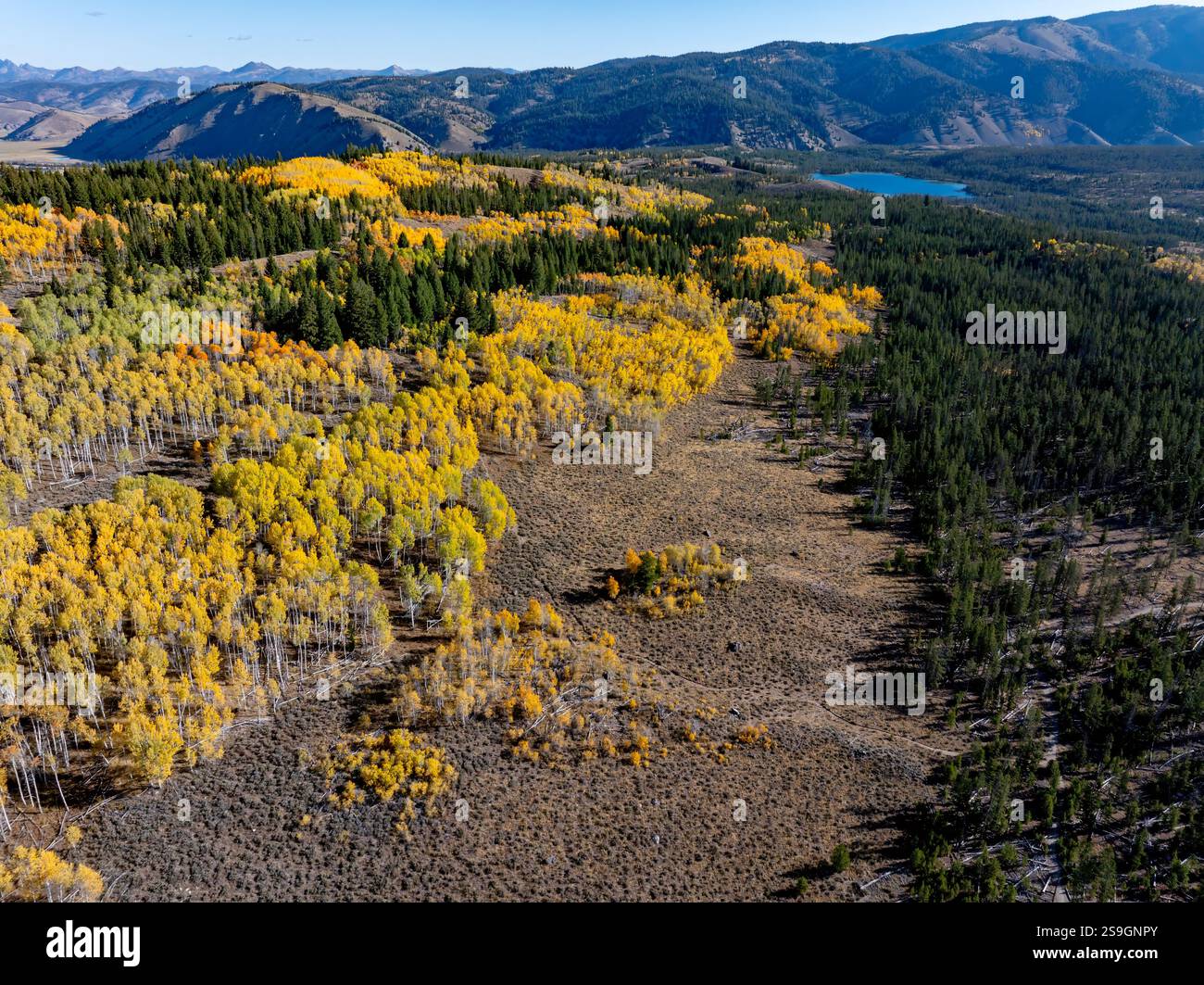 Stanley, Idaho, foresta di Aspen e lago remoto Foto Stock