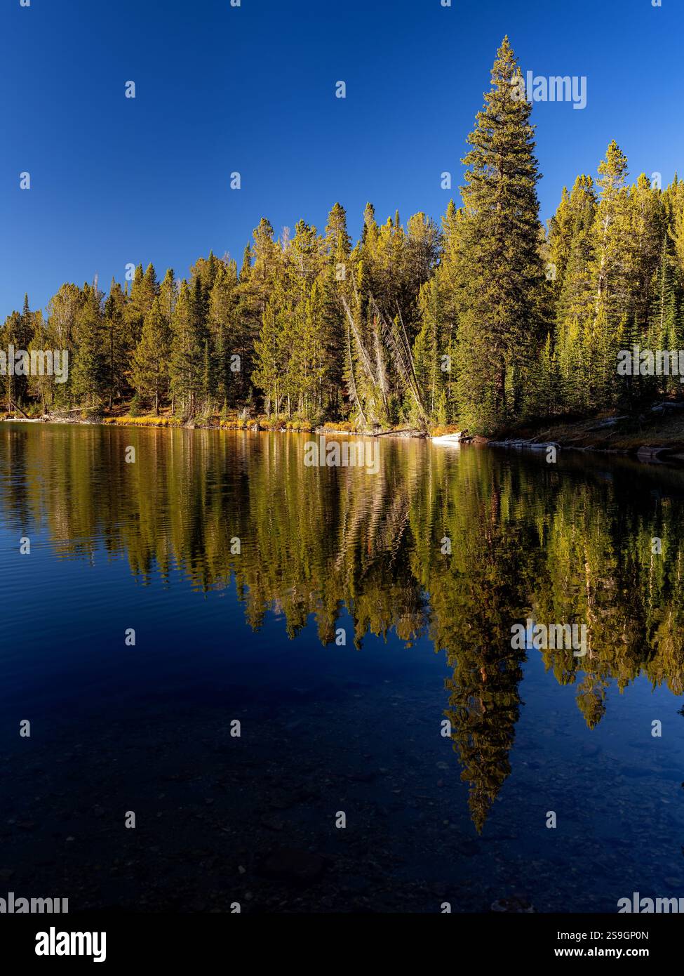 Lago nella natura selvaggia dell'Idaho con riflessi sull'acqua naturale della foresta Foto Stock