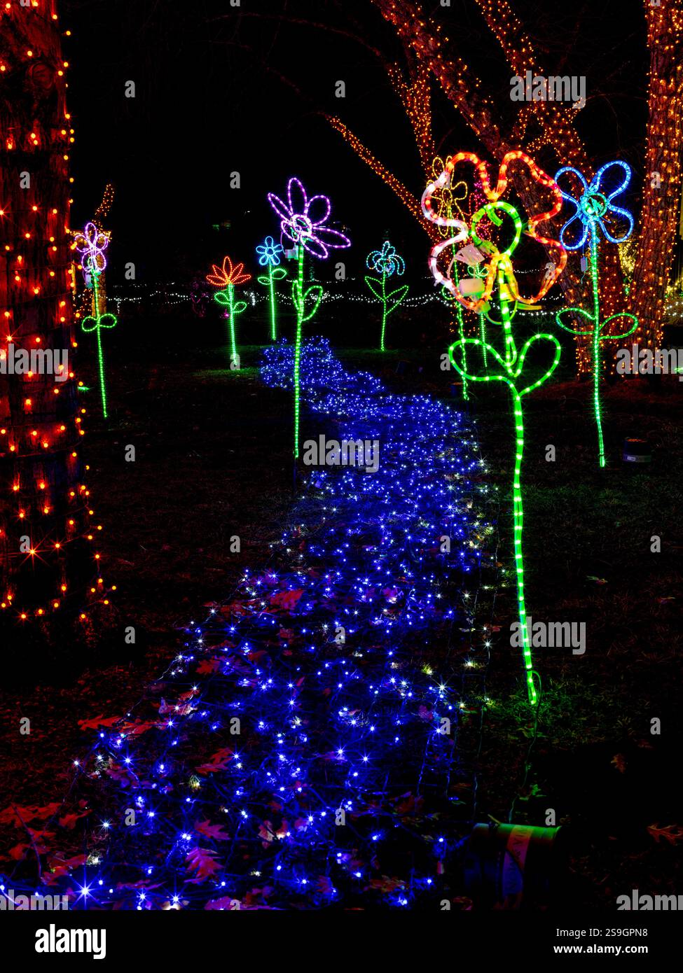 Illuminazione natalizia con un fiume e fiori Foto Stock