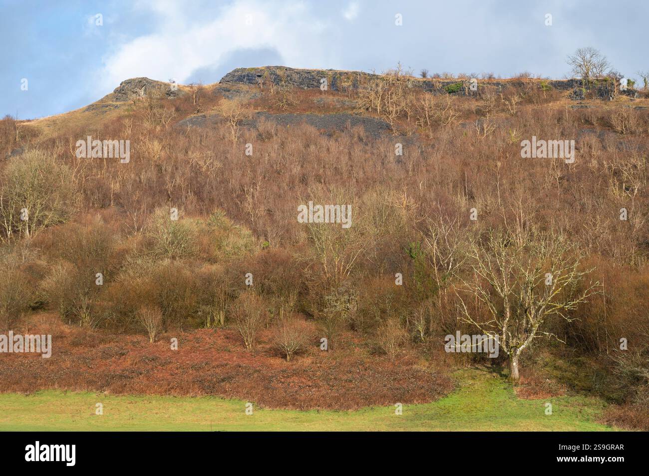 Craig y Rhiwarth Site of Special Scientific Interest, Tawe Valley, Powys, Galles, Regno Unito Foto Stock
