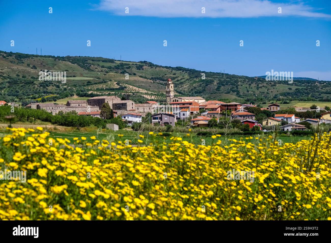 Vista del villaggio Tuili su fiori gialli in fiore, nel mezzo di un paesaggio collinare con campi e alberi. Foto Stock