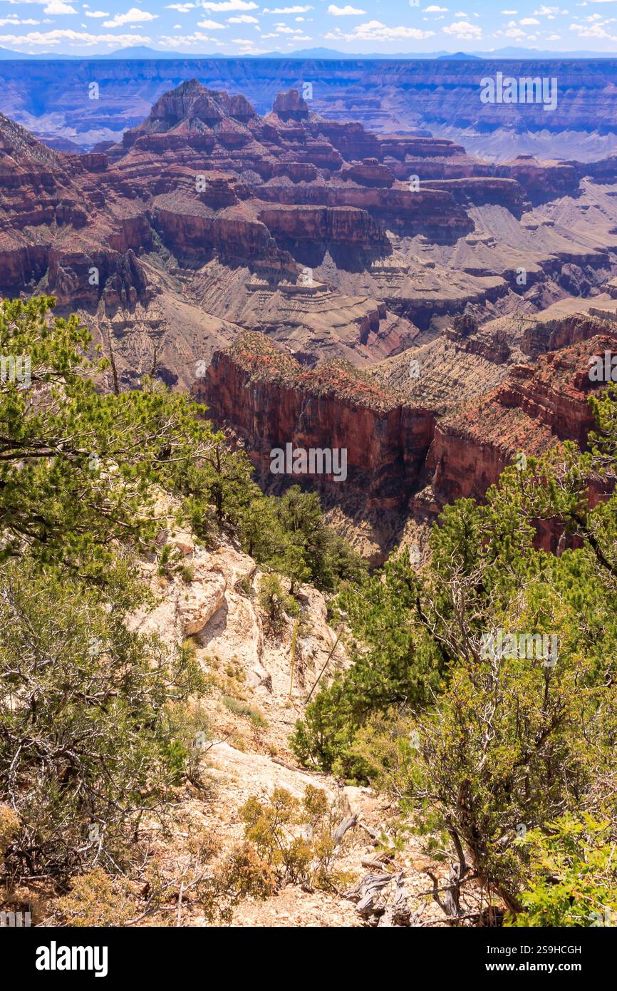 Il Grand Canyon National Park è uno dei parchi nazionali più antichi degli Stati Uniti e si trova in Arizona. All'interno del parco si trova il Grand Canyon, un gorg Foto Stock
