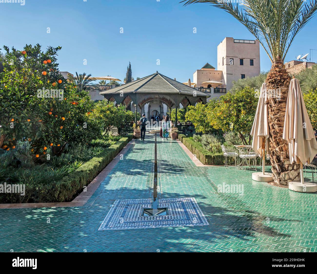 Il Giardino segreto di Marrakech, Morrocco, un esotico, pacifico, musulmano, giardino rifornito di piante da tutto il mondo. Foto Stock