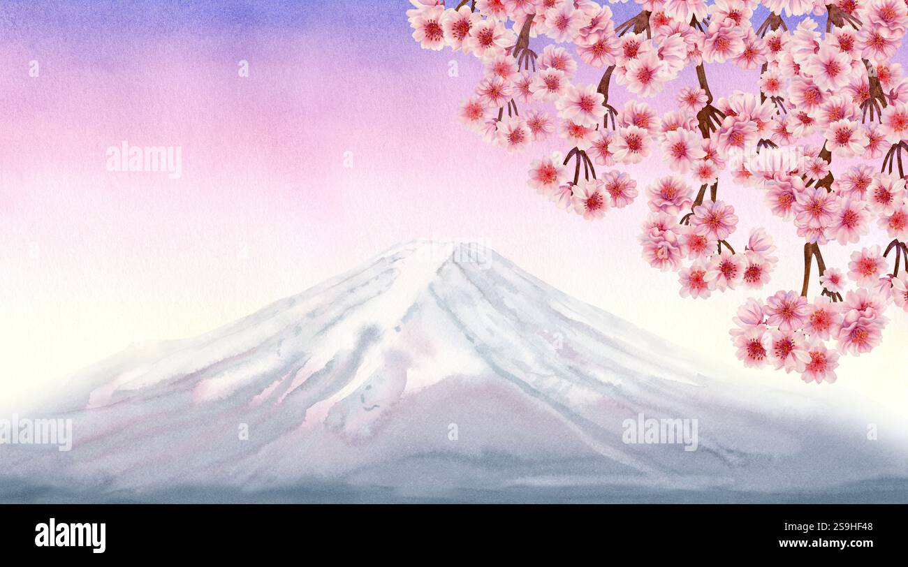 Rami con fiori rosa di sakura in fiore sullo sfondo del mattino, paesaggio serale del Monte Fuji di colore rosa lilla, all'alba pa Foto Stock
