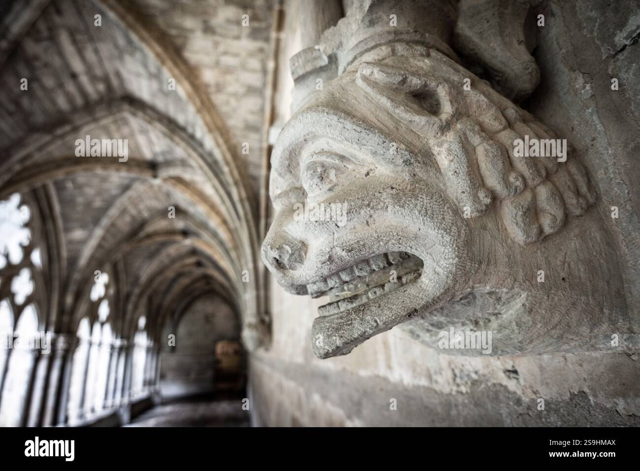 Atlante e volti umani dei mensole, chiostro del monastero reale di Santa María de Veruela, abbazia cistercense del XII secolo, vera de Moncayo, provincia di Saragozza, Spagna. Foto Stock