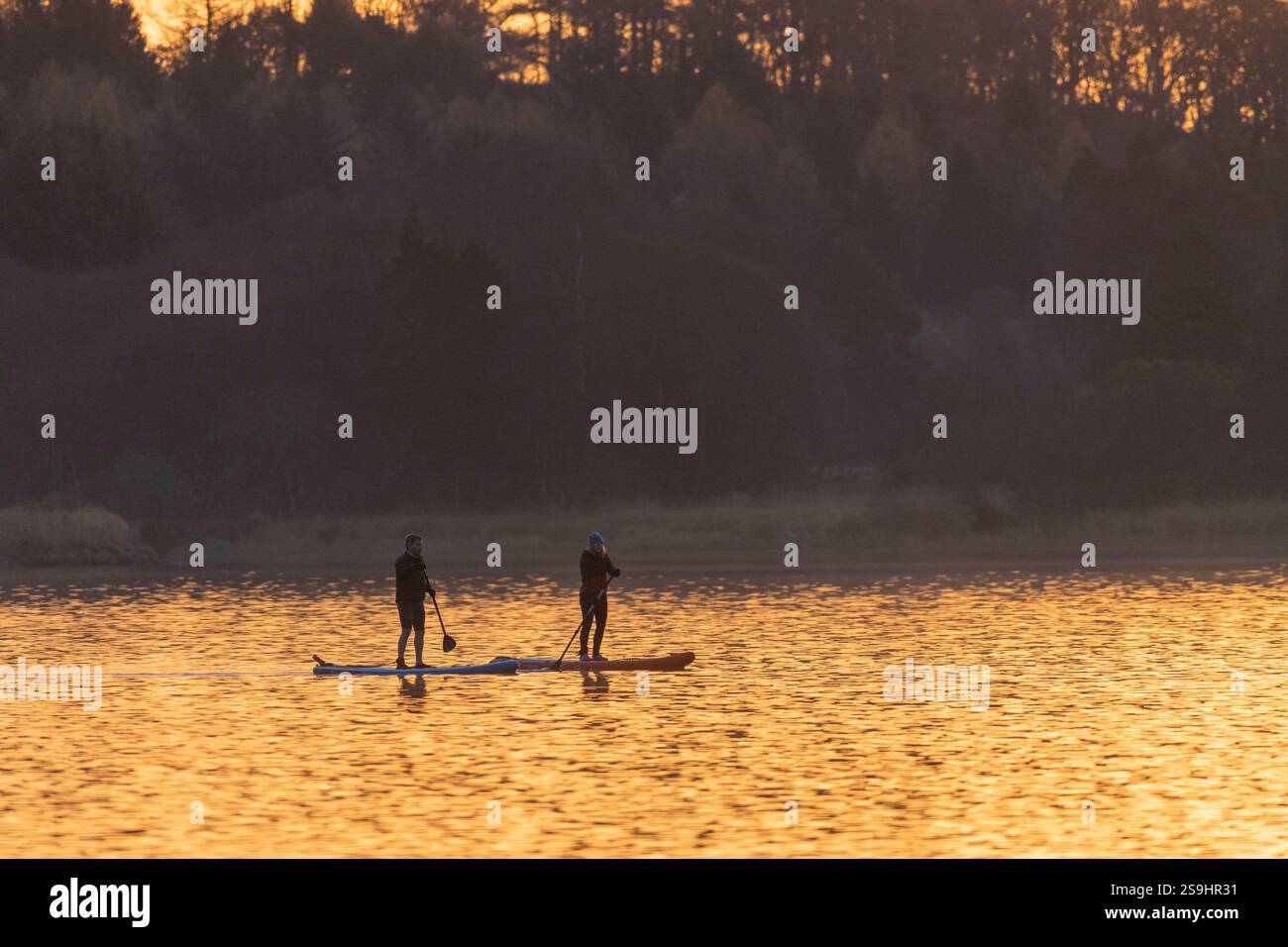 A Man and a Woman Stand Up Paddleboarding all'alba sul lago di Skene a fine autunno/inizio inverno Foto Stock
