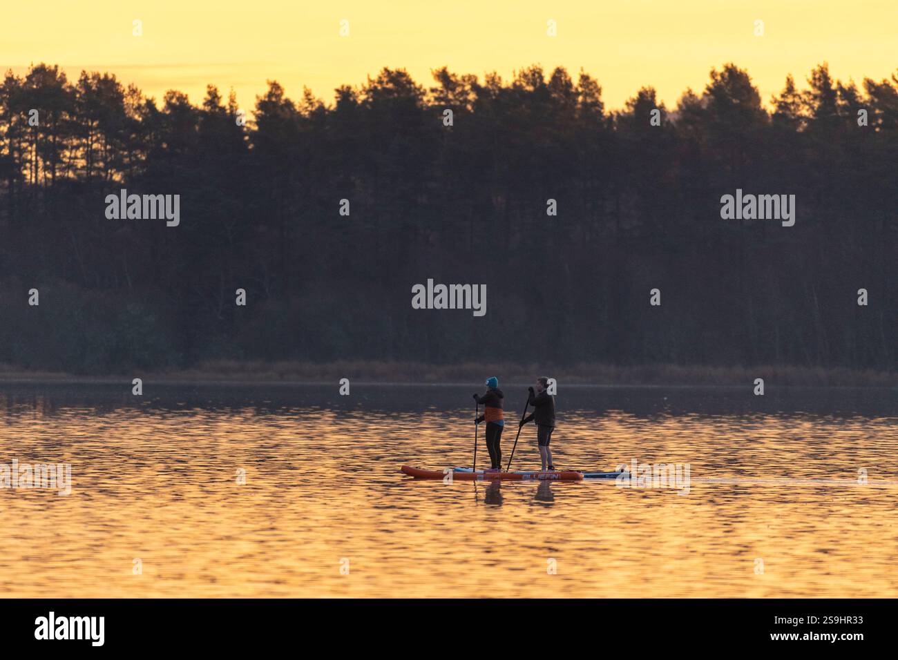 Due Paddleboard (maschile e femminile) all'alba sul lago di Skene nell'Aberdeenshire Foto Stock