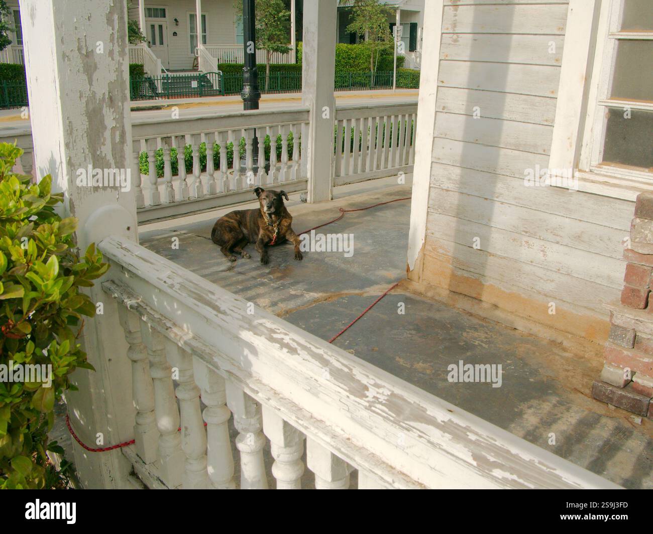 Ampia vista sul portico anteriore di una vecchia casa con ringhiere in legno e cespugli verdi. Il collare è fissato alla fune Foto Stock