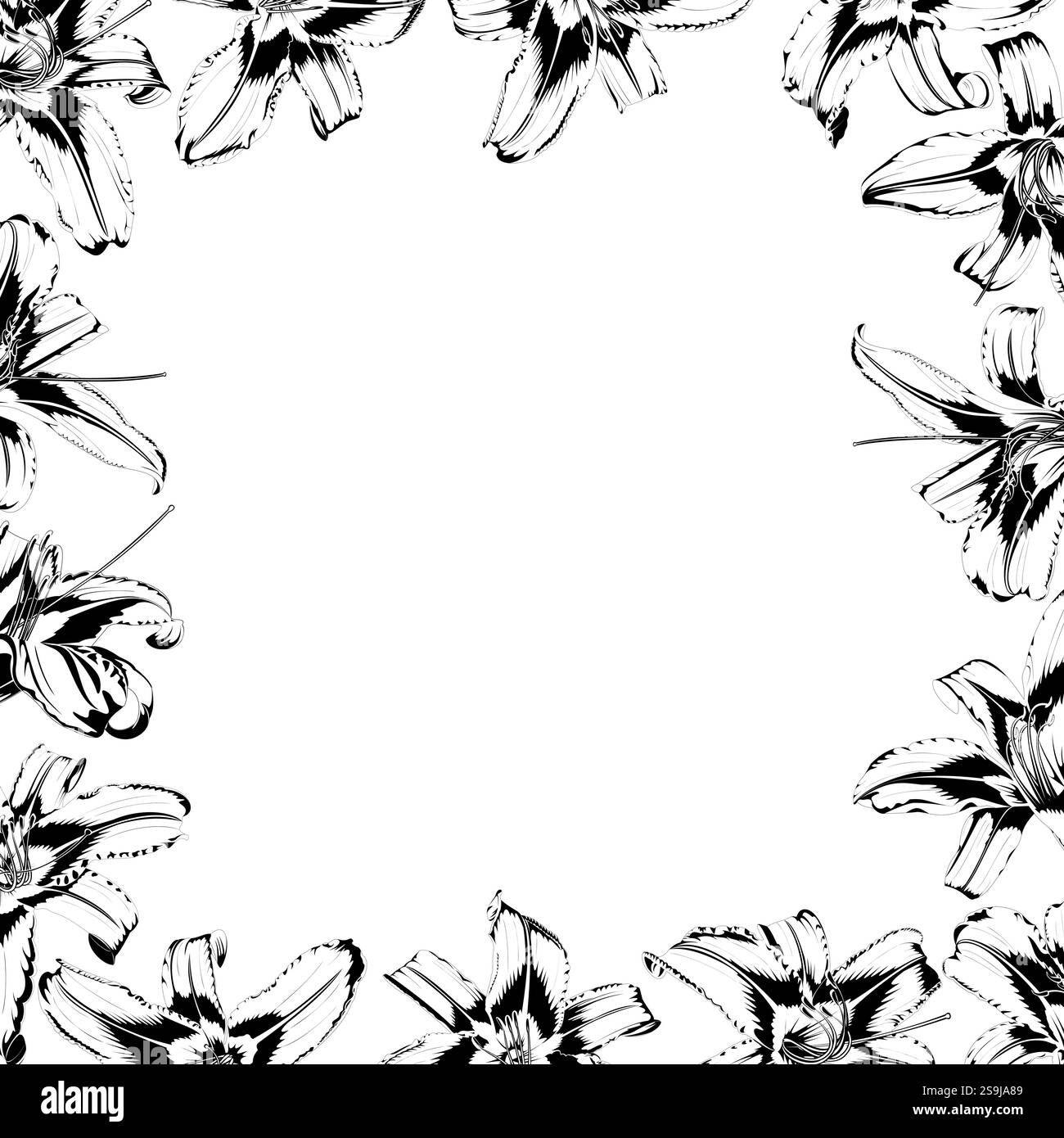 Cornice quadrata di gigli bianchi e neri su sfondo bianco Illustrazione Vettoriale