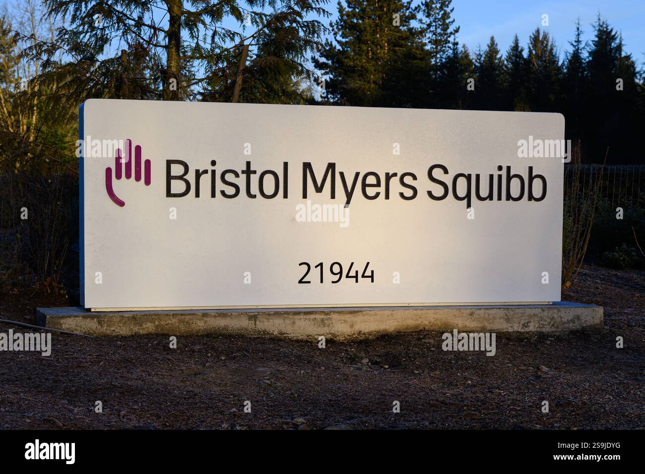 Bothell, WA, USA - 26 gennaio 2025; firma commerciale con il logo presso Bristol Myers Squibb, un'azienda biofarmaceutica globale Foto Stock