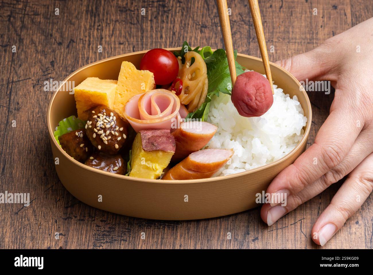 Pranzo al sacco wappa Bento Foto Stock