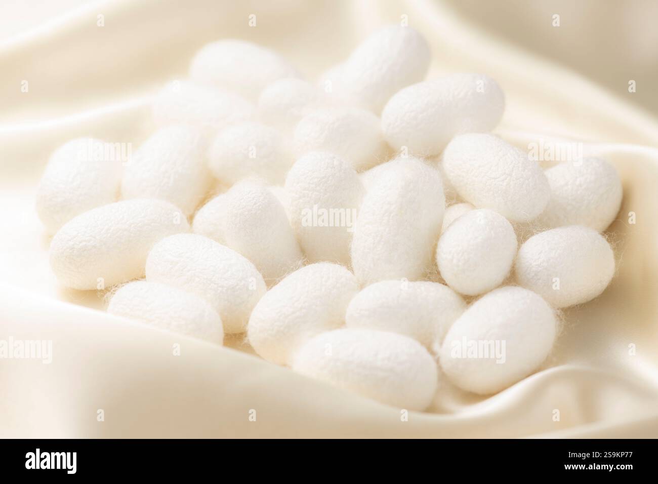 Palla di Cocoon e sfondo di seta Foto Stock