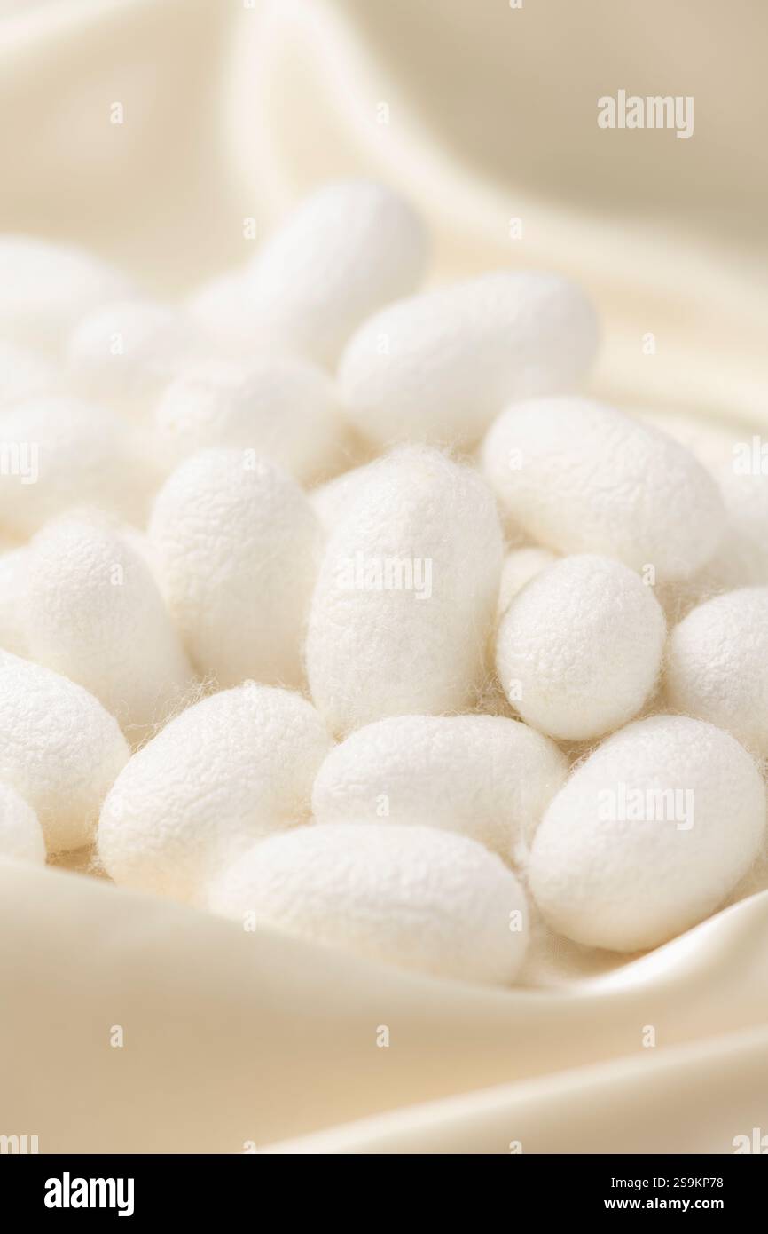Palla di Cocoon e sfondo di seta Foto Stock