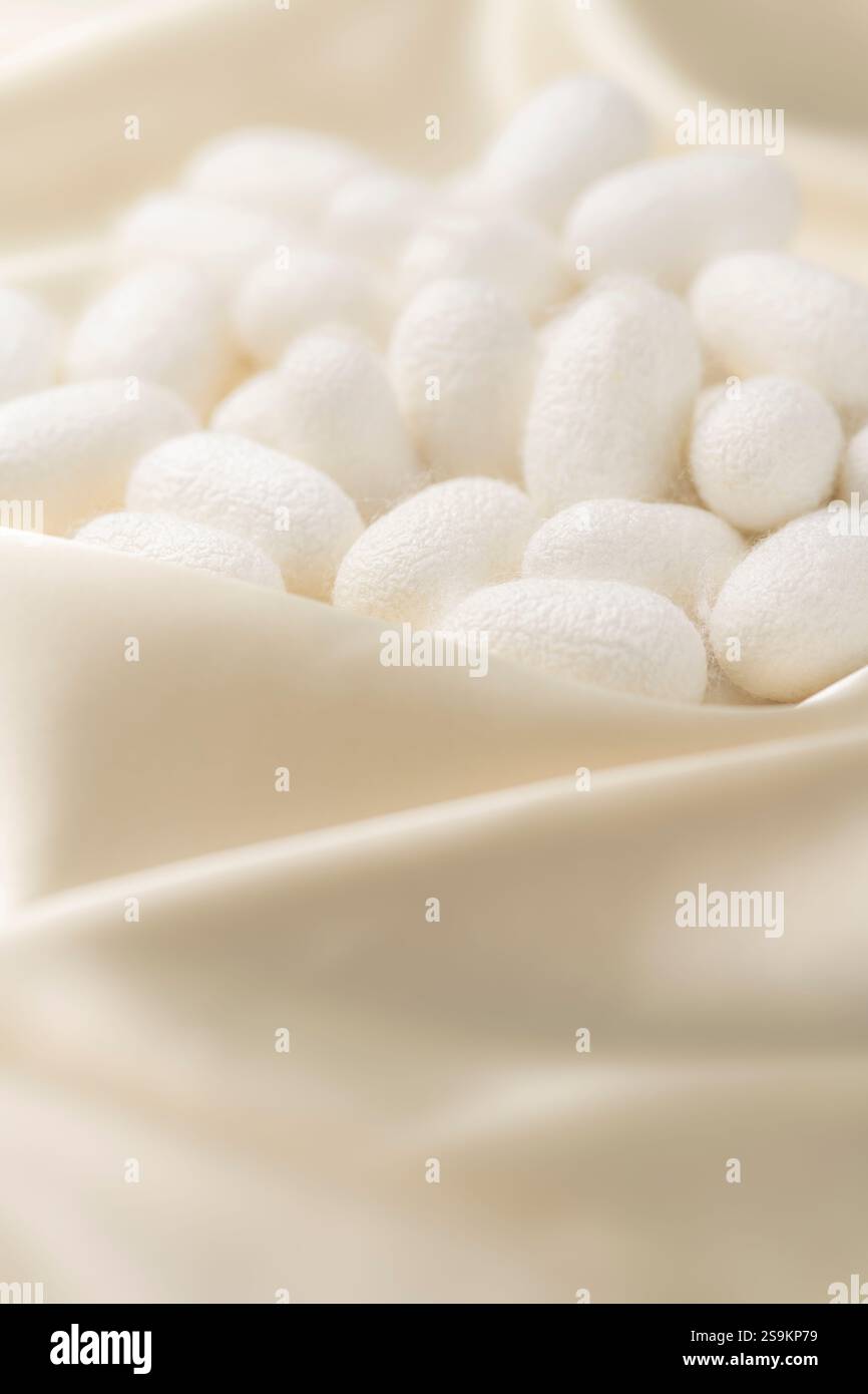 Palla di Cocoon e sfondo di seta Foto Stock