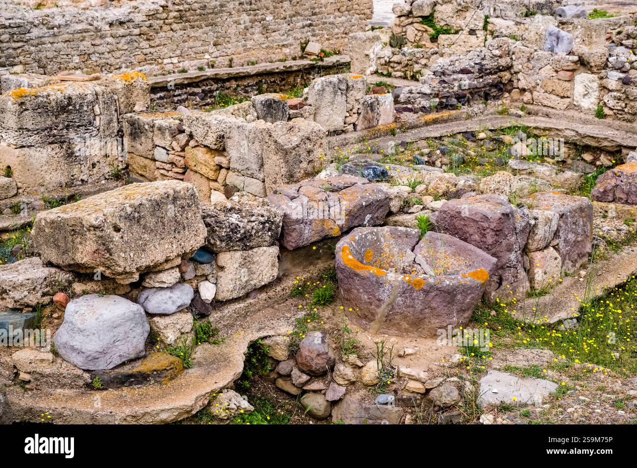Rovine del sito archeologico di Nora, un'antica città pre-romana e romana. Pula Sardegna Italia FB 2024 1686 Foto Stock