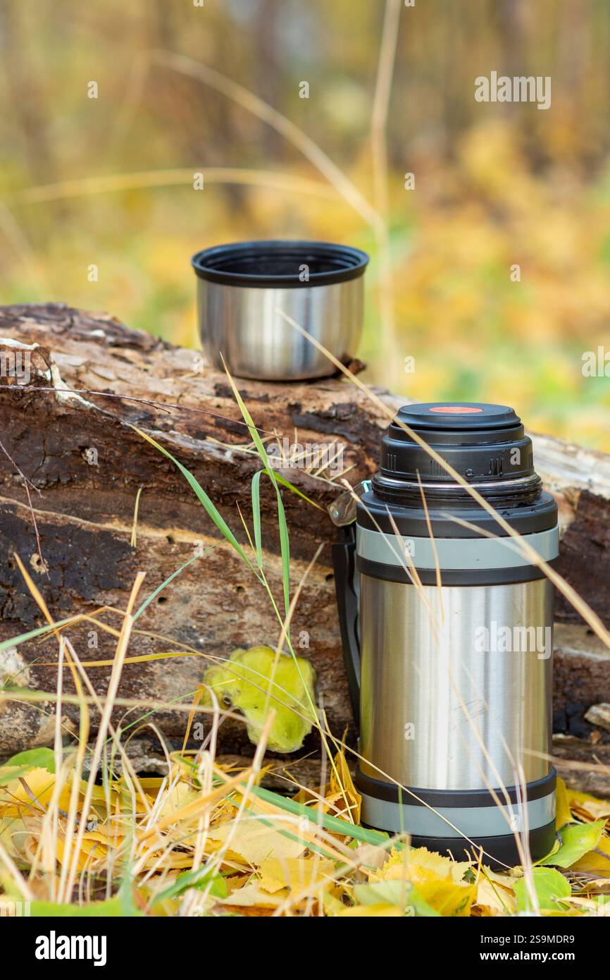 Thermos Vacuum nella foresta autunnale su un ceppo di legno. Il concetto di un viaggio nella stagione autunnale, una bevanda calda nella natura Foto Stock