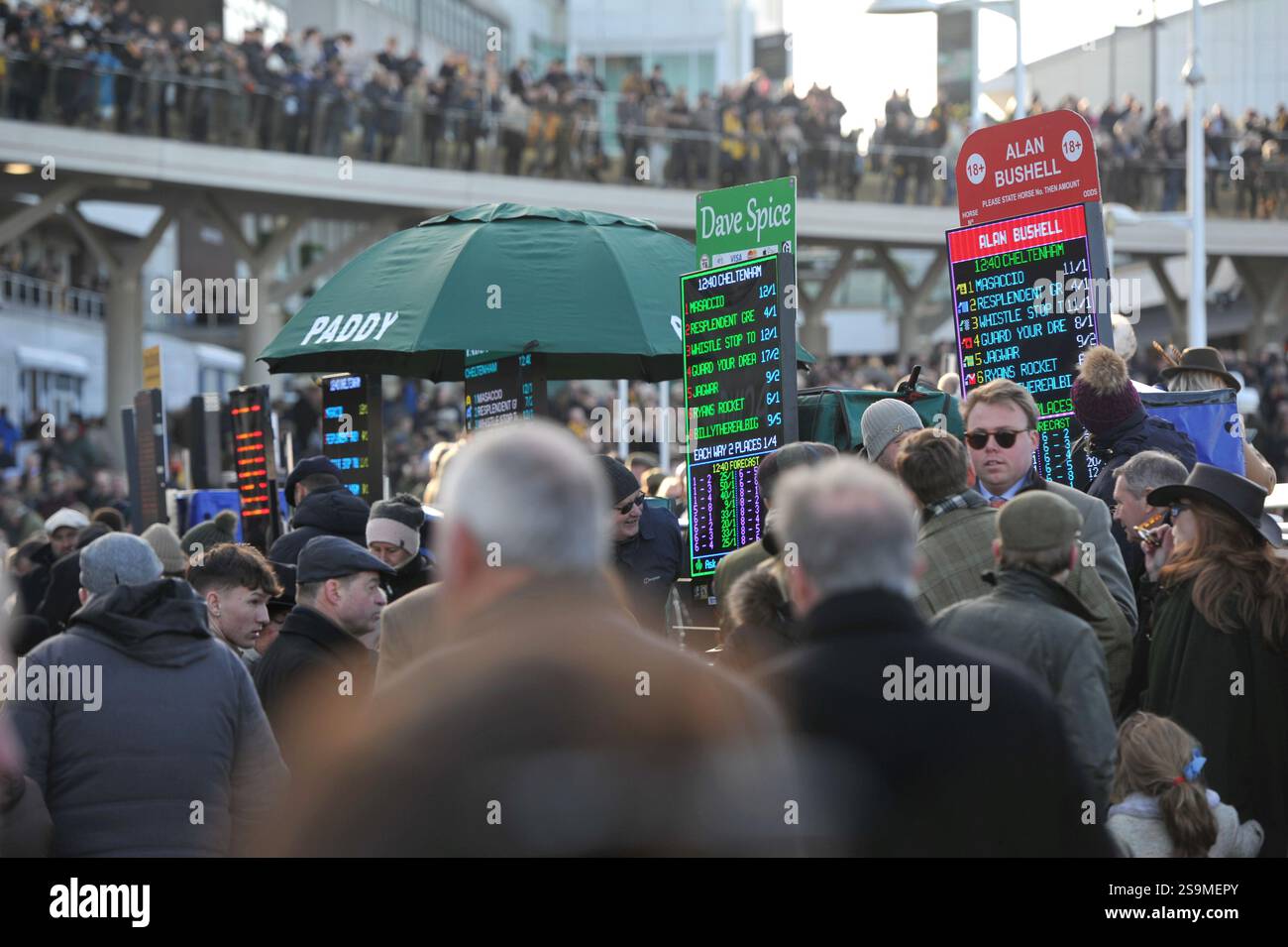 Corse di cavalli all'ippodromo di Cheltenham. Festival Trials Day, l'ultimo sabato di gennaio. Racegoers Before the racing action Picture di Mikal Lu Foto Stock