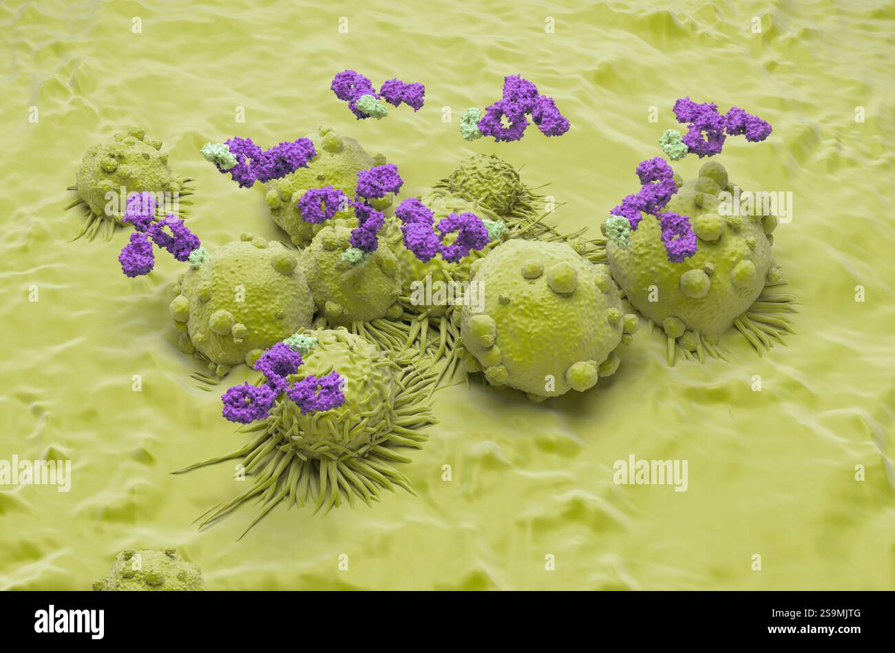 Terapia con anticorpi monoclonali nel cancro renale - Vista isometrica illustrazione 3d. Foto Stock